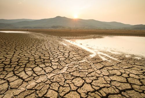 Stewardship Outlook 2022