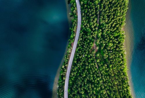 Stewardship Annual Report 2022