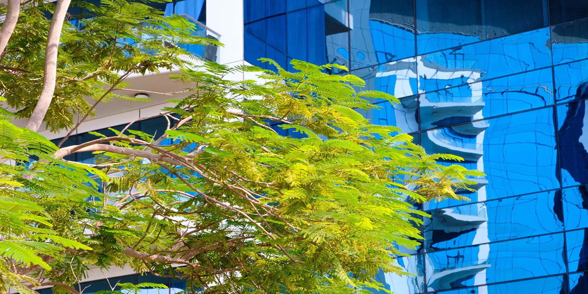 Franklin Martin Currie Sustainable Global Equity Fund
