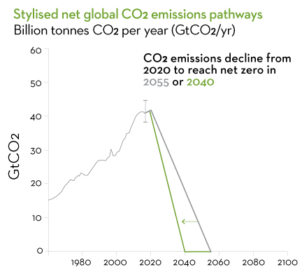 Stylised net global CO2