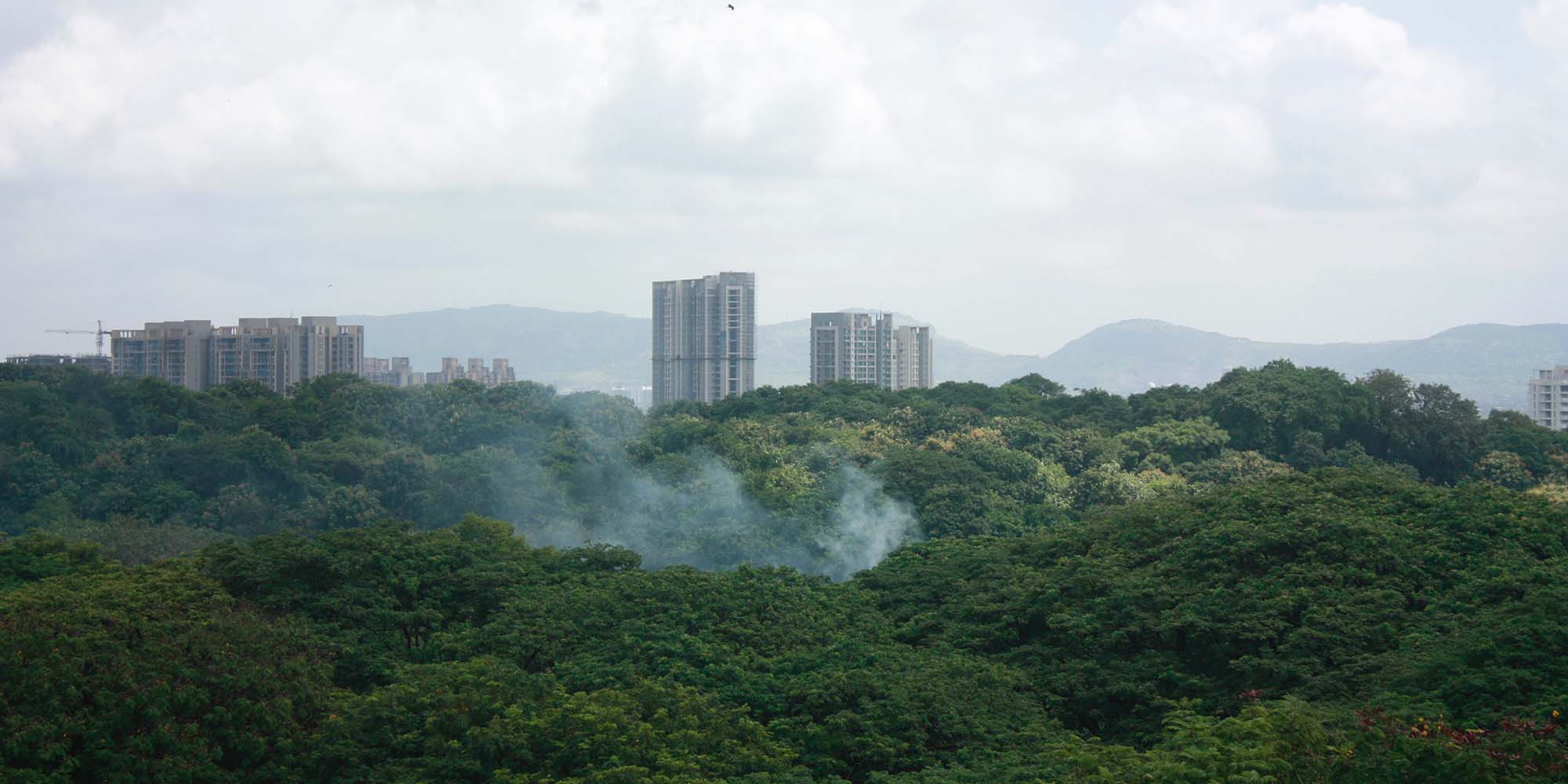 Franklin Martin Currie Sustainable Emerging Markets Fund