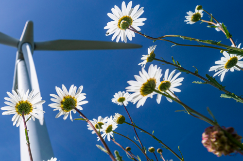 UK Smaller Companies Transformative Trends - Decarbonisation